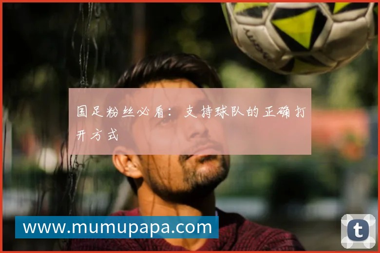 国足粉丝必看:支持球队的正确打开方式