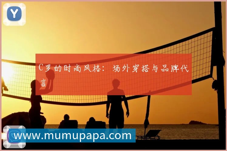 中国排球联赛观赛指南：赛程与球队介绍